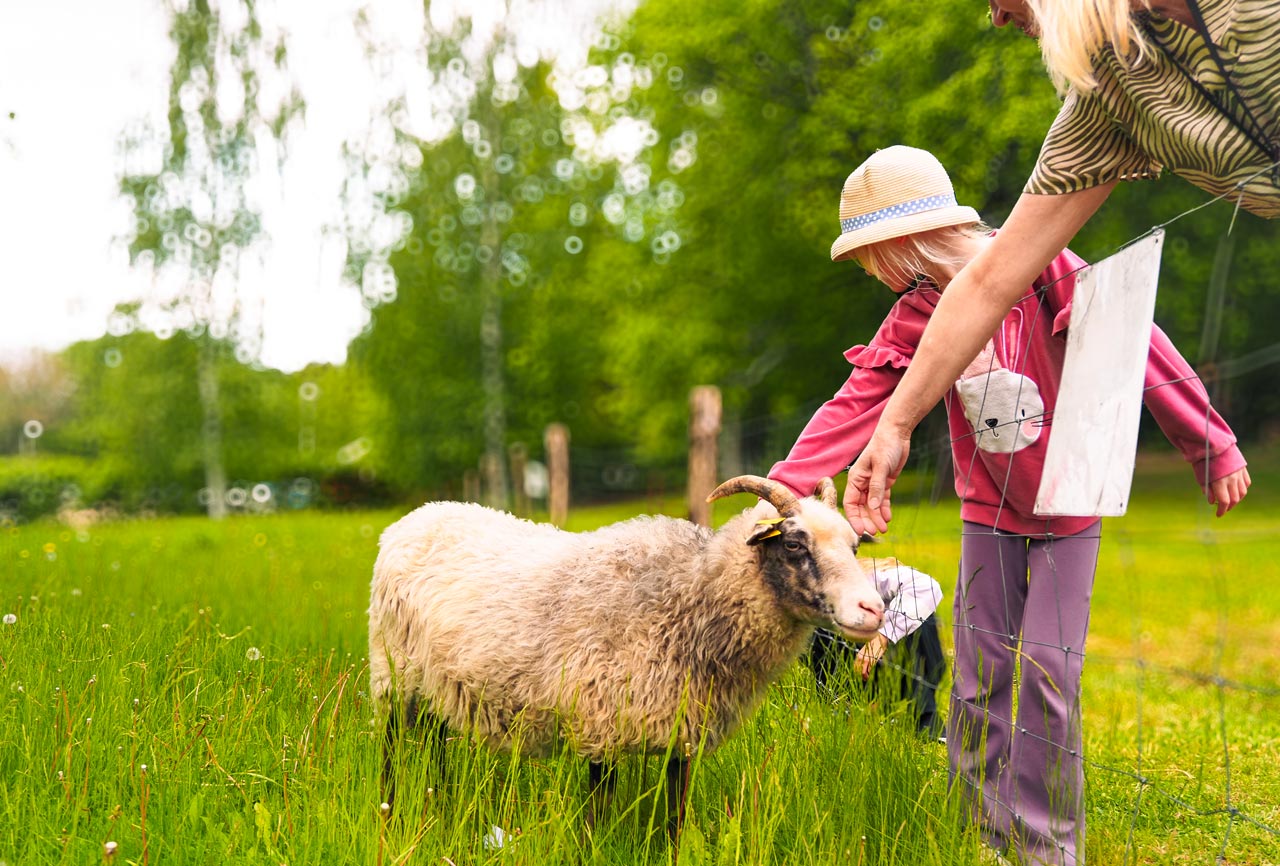 lampaat - lahden seutu